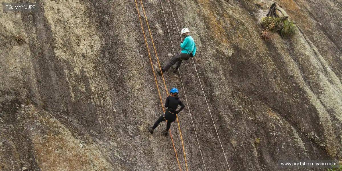 📺 全景高清转播如临现场，坐拥最佳视野，观赛体验无可挑剔！🎯